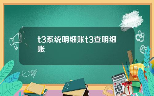 t3系统明细账t3查明细账