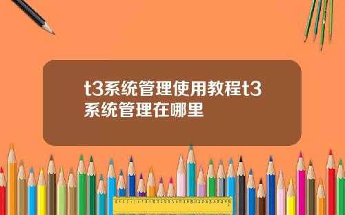 t3系统管理使用教程t3系统管理在哪里