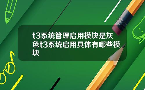 t3系统管理启用模块是灰色t3系统启用具体有哪些模块