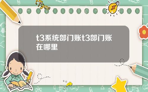 t3系统部门账t3部门账在哪里