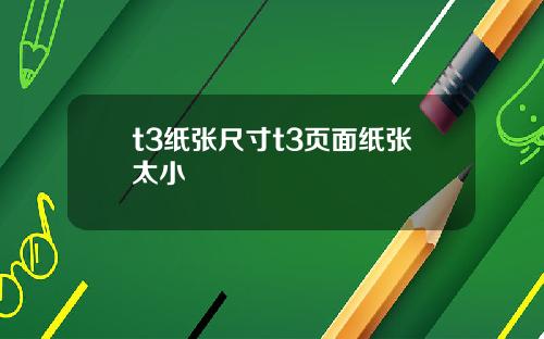 t3纸张尺寸t3页面纸张太小