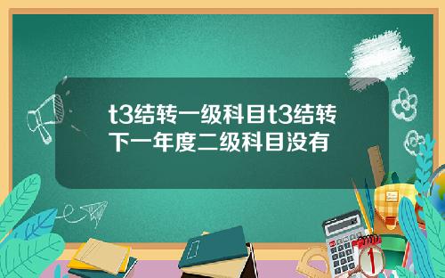 t3结转一级科目t3结转下一年度二级科目没有