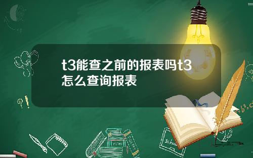 t3能查之前的报表吗t3怎么查询报表