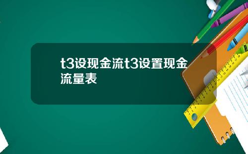 t3设现金流t3设置现金流量表