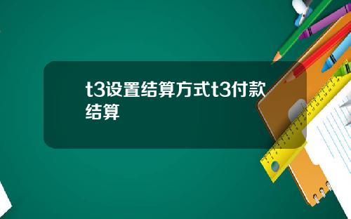 t3设置结算方式t3付款结算