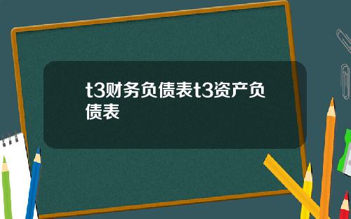 t3财务负债表t3资产负债表