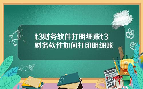 t3财务软件打明细账t3财务软件如何打印明细账