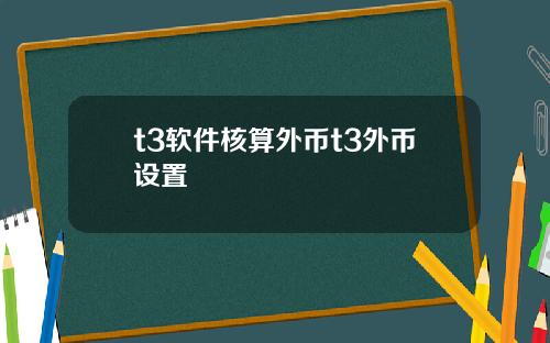 t3软件核算外币t3外币设置
