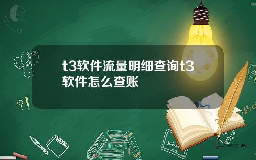 t3软件流量明细查询t3软件怎么查账