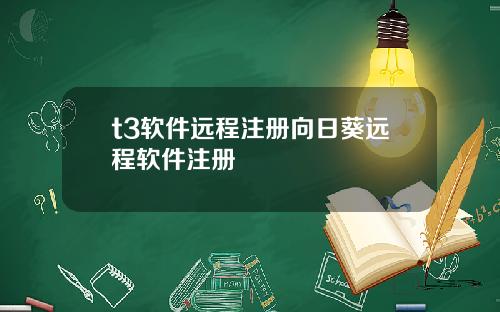 t3软件远程注册向日葵远程软件注册