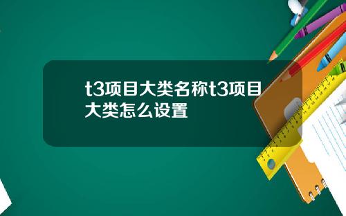 t3项目大类名称t3项目大类怎么设置