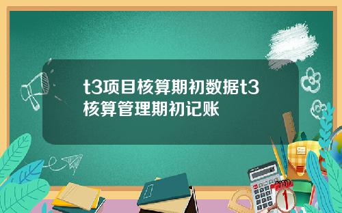 t3项目核算期初数据t3核算管理期初记账