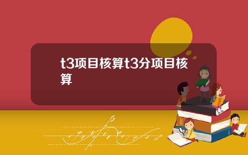 t3项目核算t3分项目核算