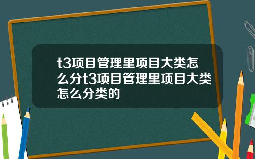 t3项目管理里项目大类怎么分t3项目管理里项目大类怎么分类的