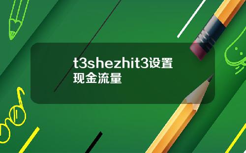 t3shezhit3设置现金流量