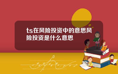 ts在风险投资中的意思风险投资是什么意思