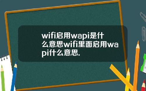 wifi启用wapi是什么意思wifi里面启用wapi什么意思.