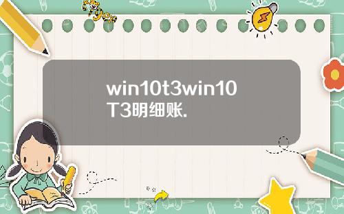 win10t3win10T3明细账.