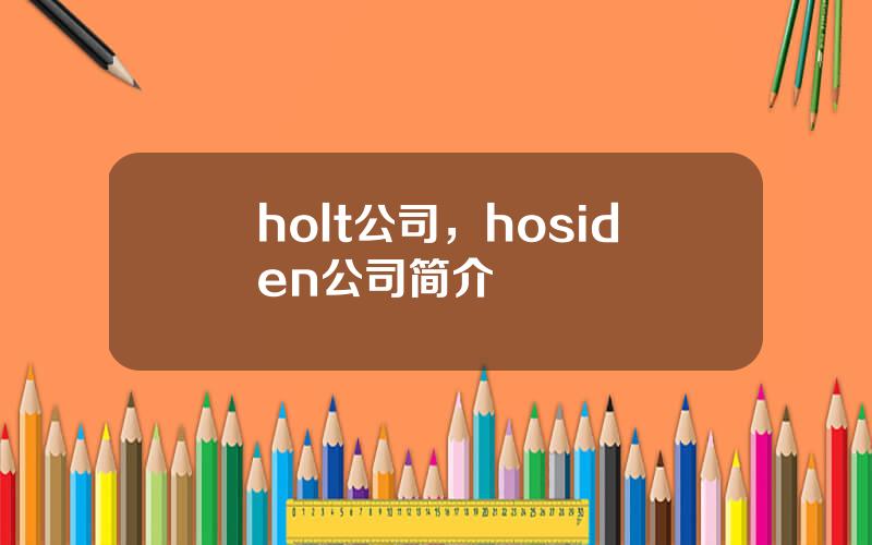 holt公司，hosiden公司简介