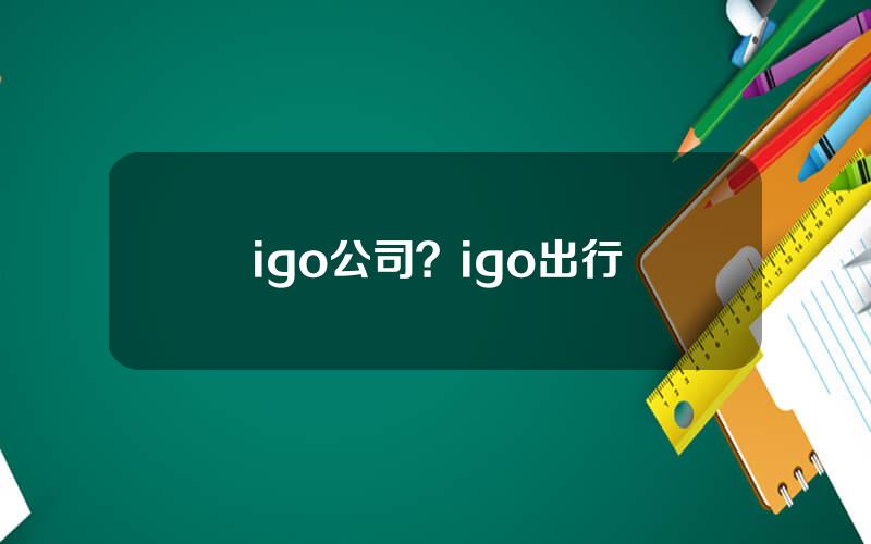 igo公司？igo出行