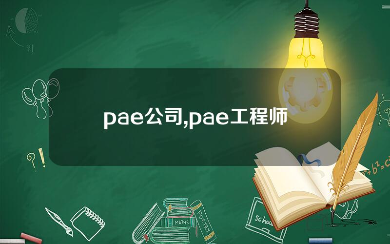 pae公司,pae工程师