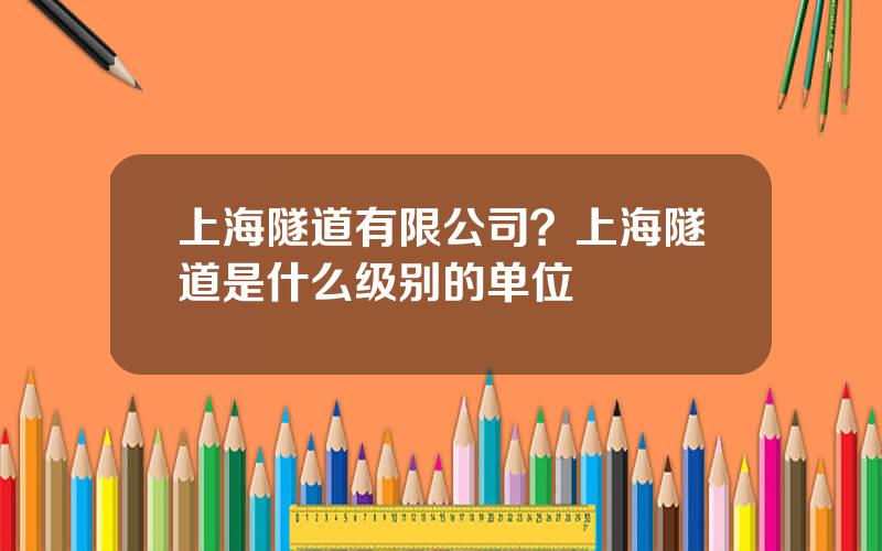 上海隧道有限公司？上海隧道是什么级别的单位