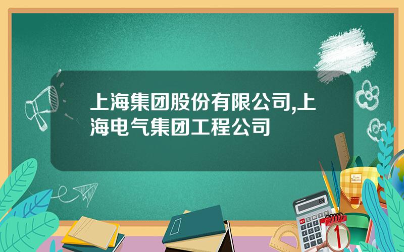 上海集团股份有限公司,上海电气集团工程公司