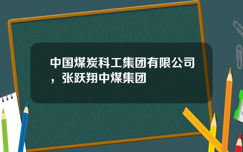 中国煤炭科工集团有限公司，张跃翔中煤集团