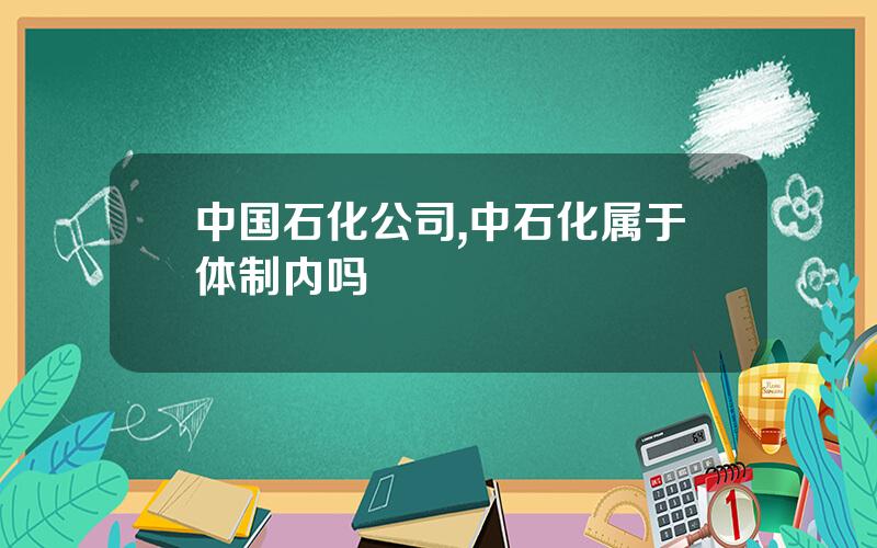 中国石化公司,中石化属于体制内吗