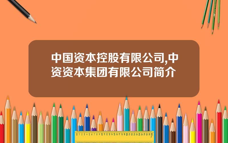 中国资本控股有限公司,中资资本集团有限公司简介