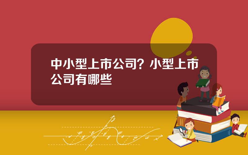 中小型上市公司？小型上市公司有哪些