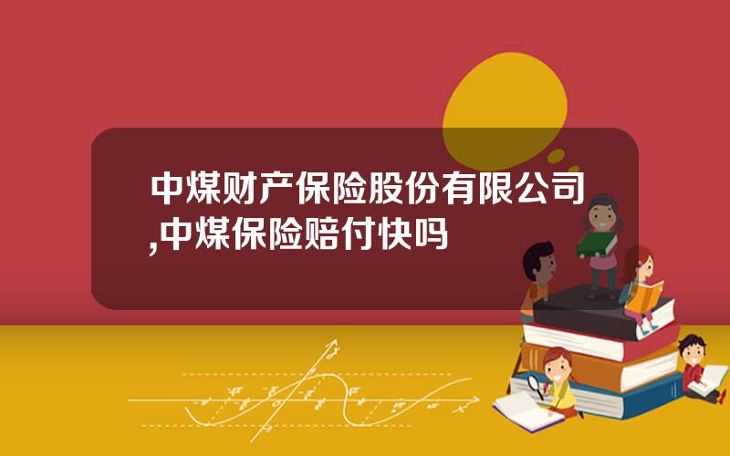 中煤财产保险股份有限公司,中煤保险赔付快吗