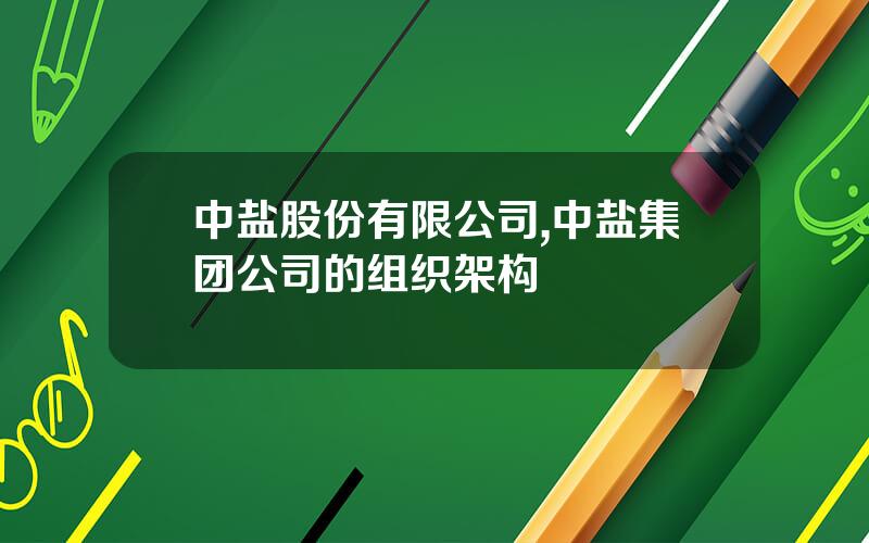 中盐股份有限公司,中盐集团公司的组织架构