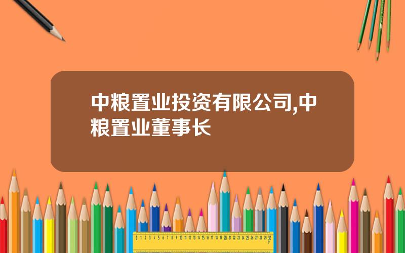 中粮置业投资有限公司,中粮置业董事长