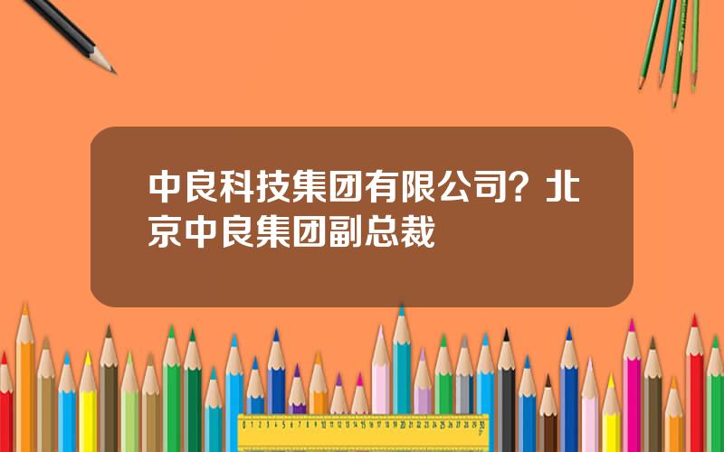中良科技集团有限公司？北京中良集团副总裁