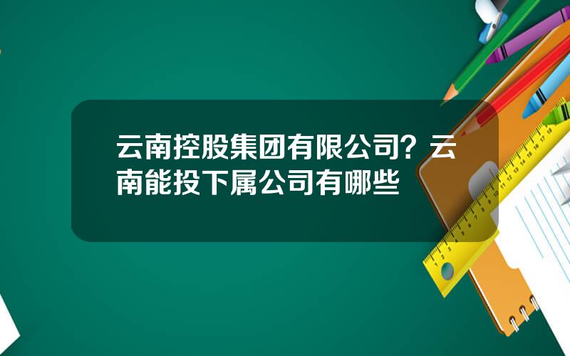 云南控股集团有限公司？云南能投下属公司有哪些
