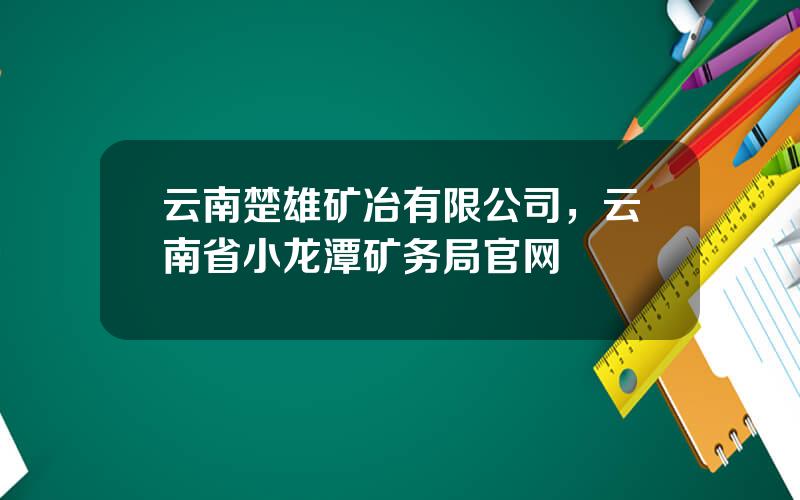 云南楚雄矿冶有限公司，云南省小龙潭矿务局官网