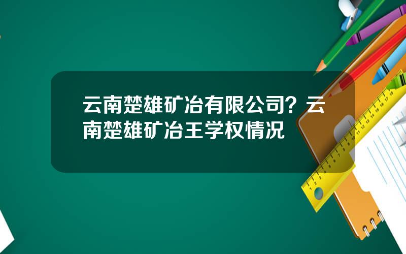 云南楚雄矿冶有限公司？云南楚雄矿冶王学权情况