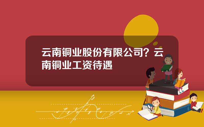 云南铜业股份有限公司？云南铜业工资待遇