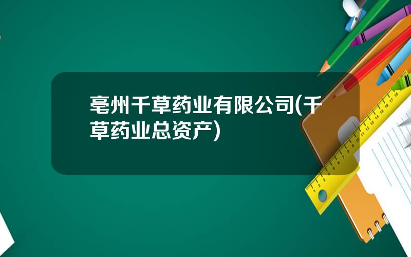 亳州千草药业有限公司(千草药业总资产)