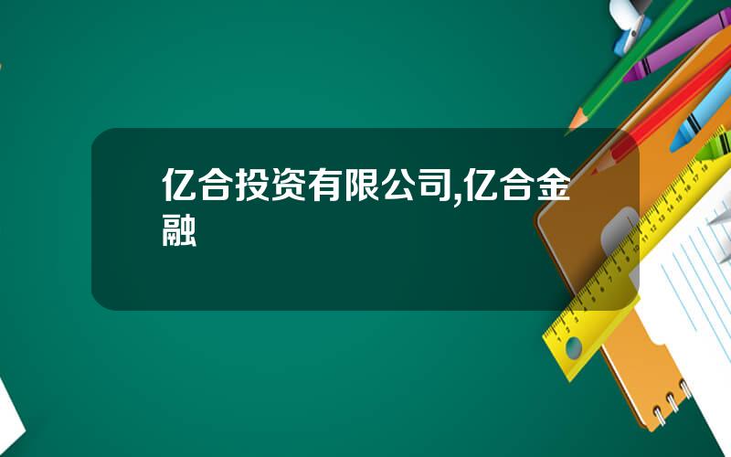 亿合投资有限公司,亿合金融