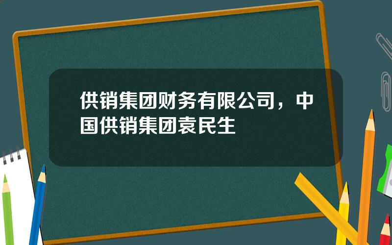 供销集团财务有限公司，中国供销集团袁民生