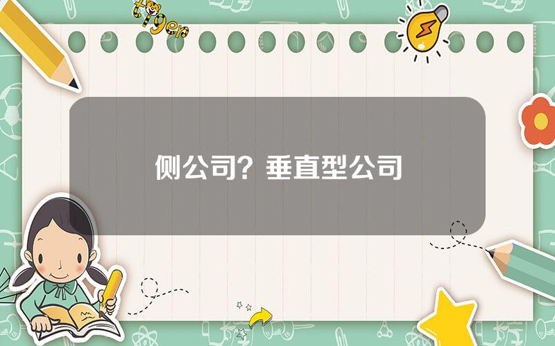 侧公司？垂直型公司