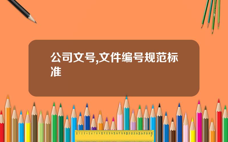 公司文号,文件编号规范标准