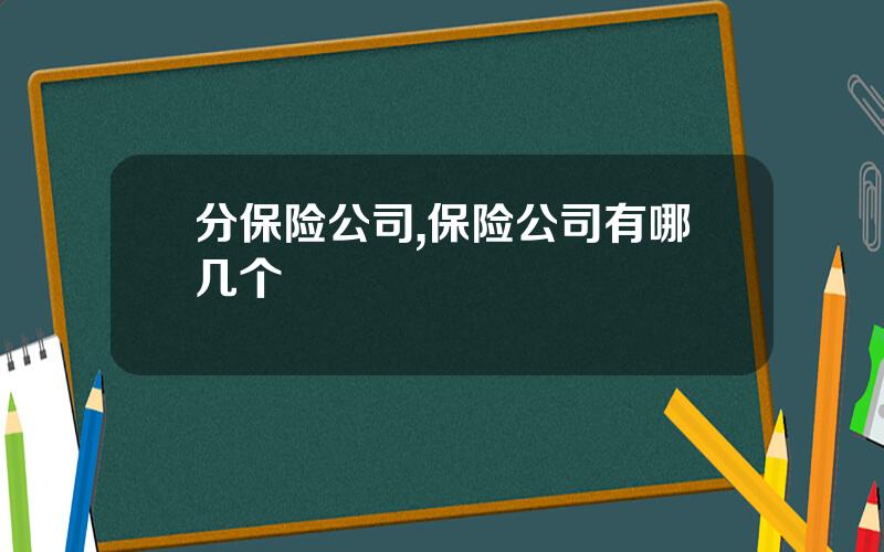 分保险公司,保险公司有哪几个
