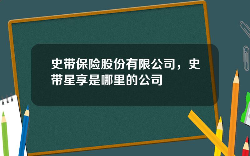 史带保险股份有限公司，史带星享是哪里的公司