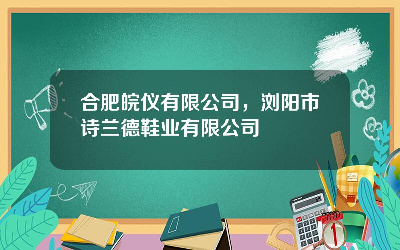合肥皖仪有限公司，浏阳市诗兰德鞋业有限公司