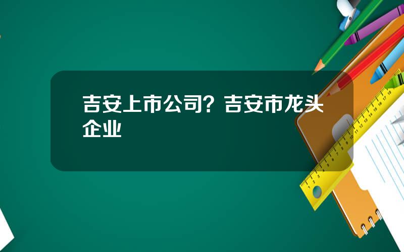 吉安上市公司？吉安市龙头企业