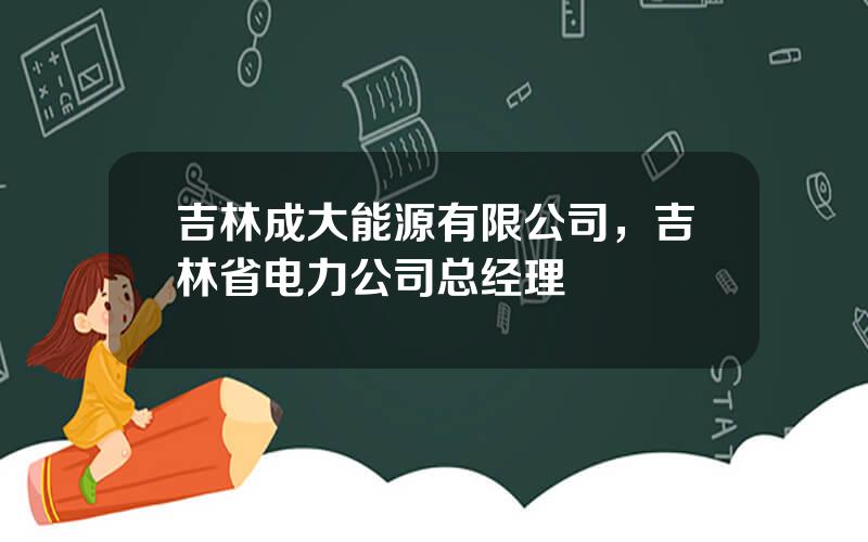 吉林成大能源有限公司，吉林省电力公司总经理