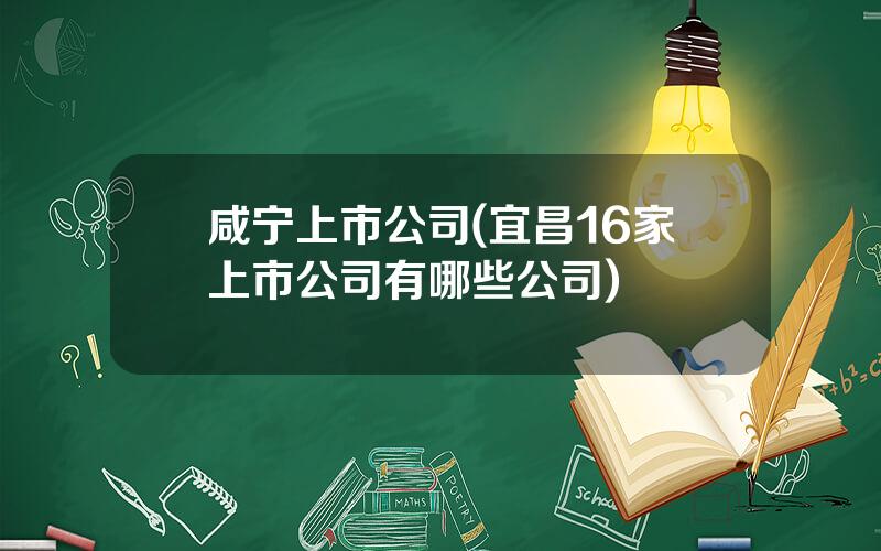 咸宁上市公司(宜昌16家上市公司有哪些公司)